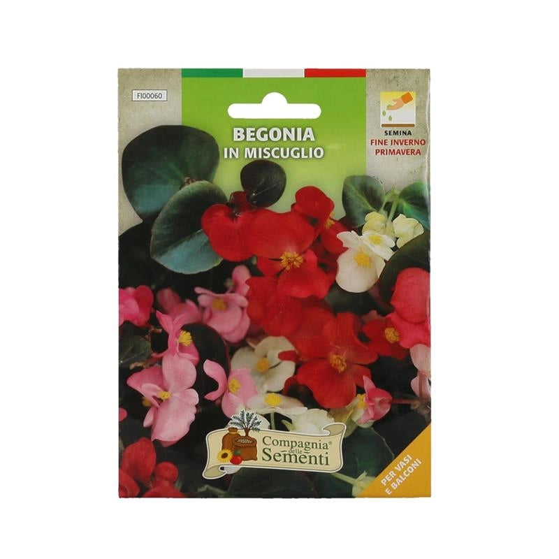 BUSTA SEMENTI DI FIORI DI BEGONIA IN MISCUGLIO