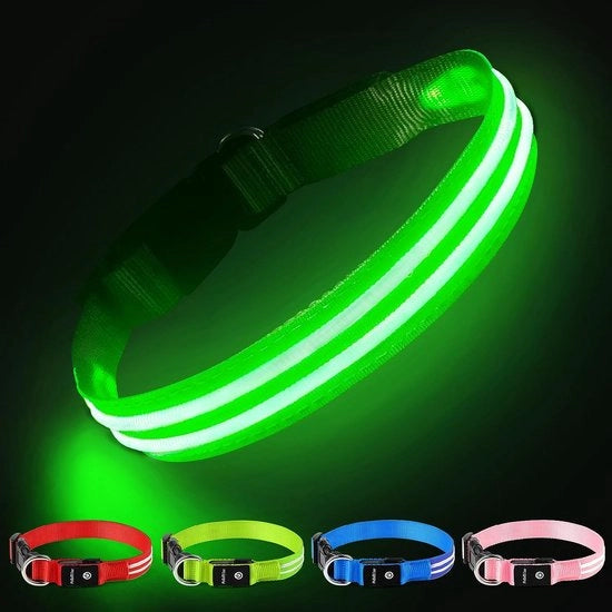 Collare LED per Cani Acqua Resistenti Collari con 3 Modalità per Cani Piccoli Grandi - Verde - S