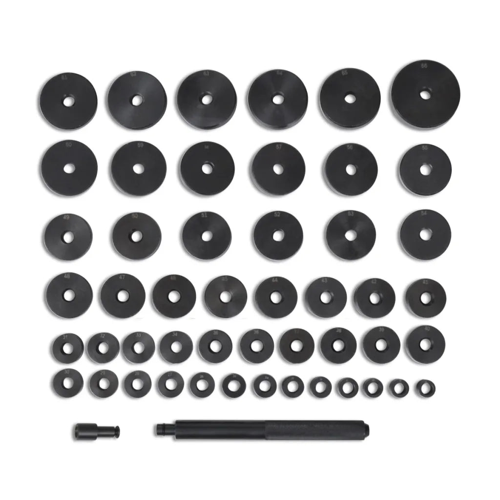 Set Dischi Boccola Cuscinetto Guarnizione 18 - 65 mm 51 pz CFW9007909