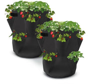 Set di Piantine da 2 - Tela 45 x 35 cm - Fragole - Piccoli Frutti - Riciclabile - Permeabile all'Aria e all'Acqua - Sacchetto per Erbivori