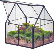 Mini terrario in vetro geometrico - nero, manufatto artigianale - 1 pezzo - 10,8 x 10,8 x 12,5 cm
