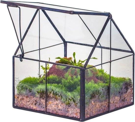 Mini terrario in vetro geometrico - nero, manufatto artigianale - 1 pezzo - 10,8 x 10,8 x 12,5 cm
