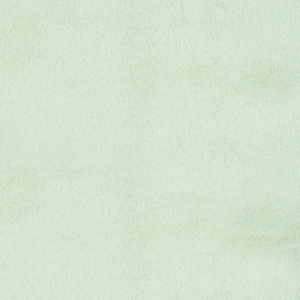 Tappeto Irregolare Verde Chiaro in Finta Pelliccia 80 x 120 cm a Pelo Lungo per Soggiorno con Retro in Poliestere Stile Moderno
