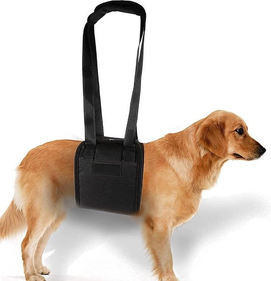 Sistema di sostegno per cani classico per scale e veicoli, dimensione L, supporto confortevole.