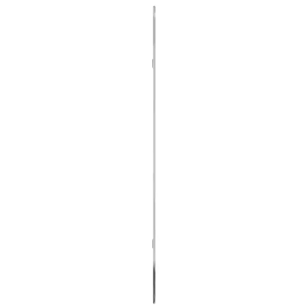 Specchio da Parete Argento 100x45 cm Ovale 348194