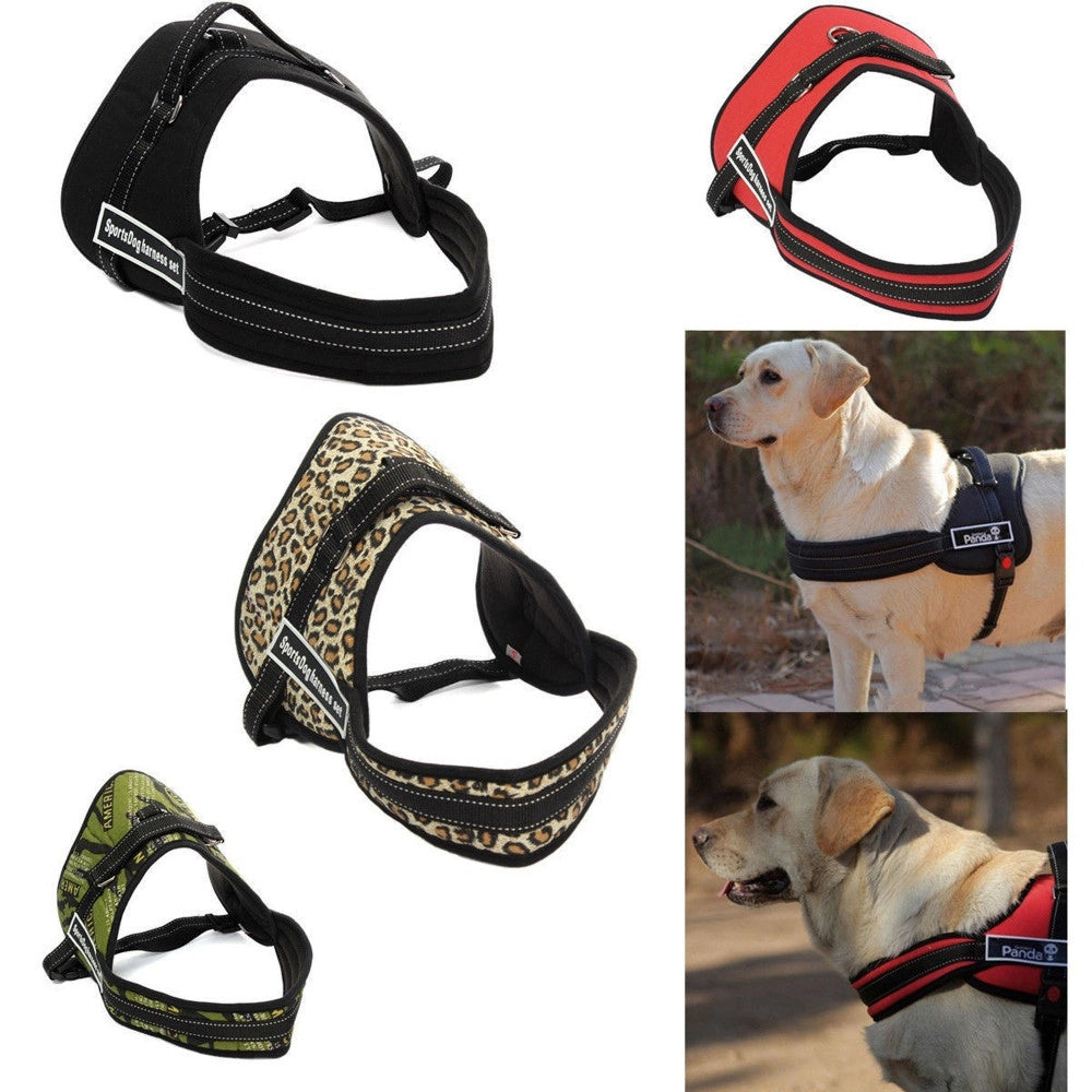 Trade Shop - Pettorina Cinghia Cani Cane Bardatura Cintura Imbragatura Addestramento -    Xl