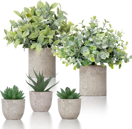 Set di 5 piante artificiali in piccole vasi, eucalipto decorativo e piante grasse per interni ed esterni.