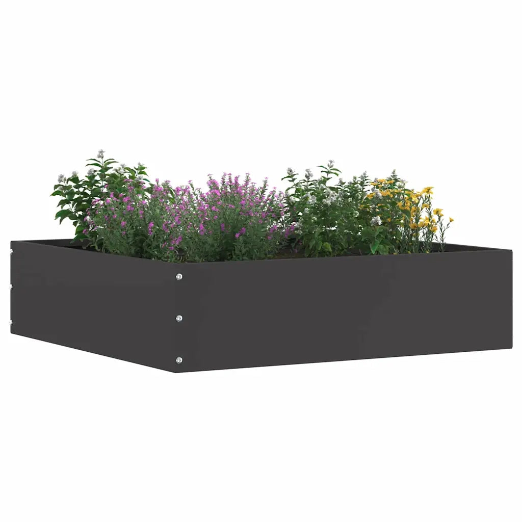 Bordura per Prato 6 pcs Nero 50 x 50 x 13 cm Acciaio