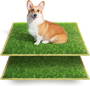 Potty per cani, tappeto di addestramento, vasino per cani interno, area di allenamento per cani, tappeto per cani, panno per cani per piccoli cani, cani grandi, cani anziani, dimensioni 63 x 51 x 7 cm, 2 pezzi di erba di riserva