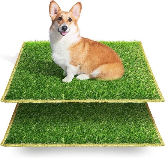 Potty per cani, tappeto di addestramento, vasino per cani interno, area di allenamento per cani, tappeto per cani, panno per cani per piccoli cani, cani grandi, cani anziani, dimensioni 63 x 51 x 7 cm, 2 pezzi di erba di riserva