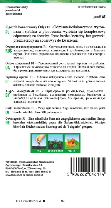Cetriolo sottaceto Odys F1 5g