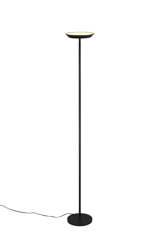 Piantana LED, metallo, nero, H 180 cm, Specter