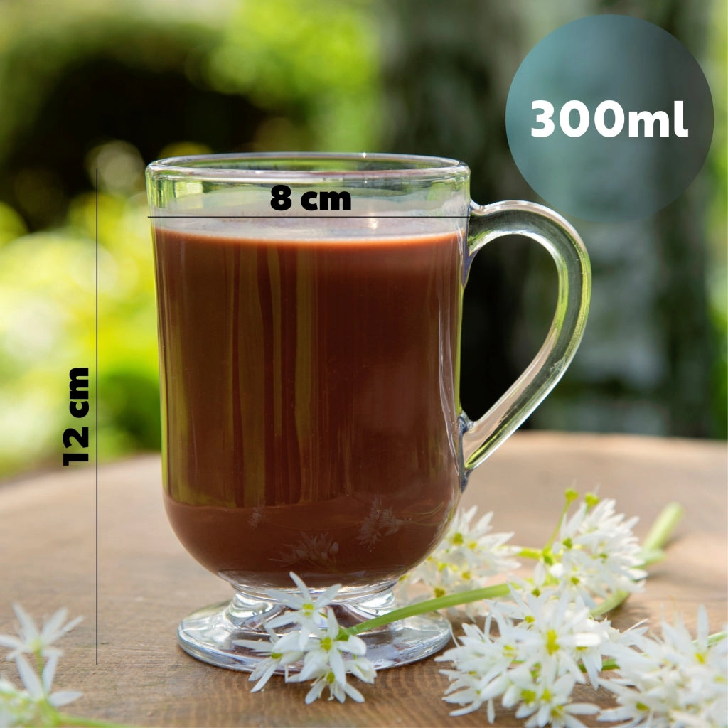 KADAX Bicchieri da caffè, latte e tè, 12 pezzi da 300 ml con manico, compatibili con macchine da caffè espresso.