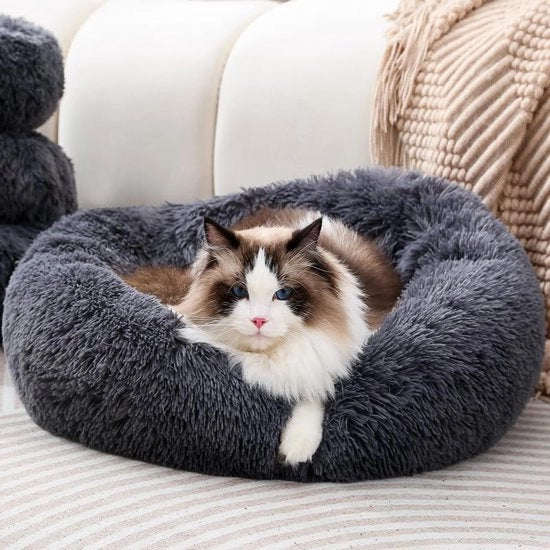Letto per gatti a forma di donut letto per cani letto per gatti piccolo cuscino per gatti letto per cani (M/peso massimo 5 kg)