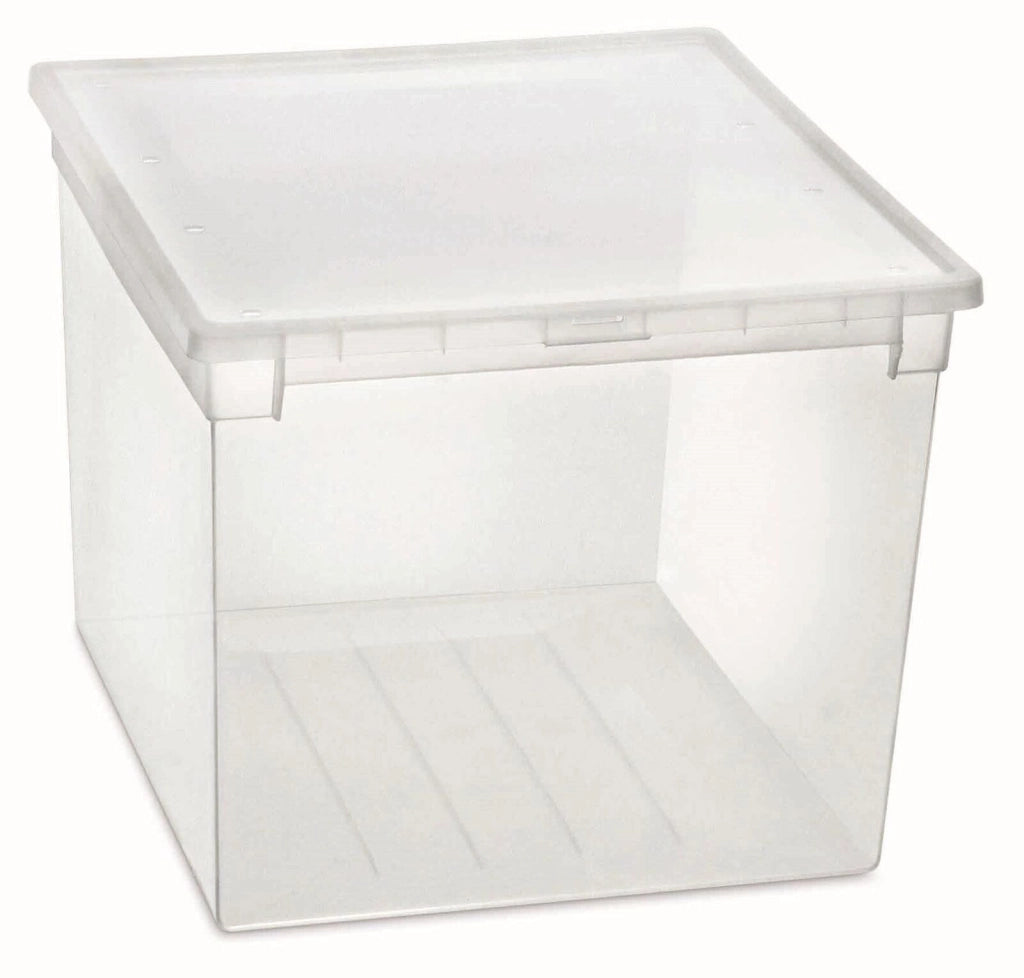 Terry 1002677 Light Box 52 XXL Contenitore Multiuso Portaoggetti 50 L Impilabile con Coperchio colore Trasparente