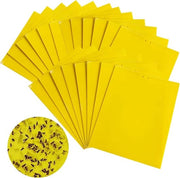 20 x Insetti Velenosi - Insetticidi - Adesivo per Insetti - velenosi adesivi per giardino, frutta, piante, insetti