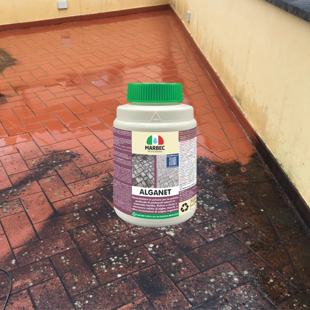 Pulizia pavimenti esterni ALGANET   4KG