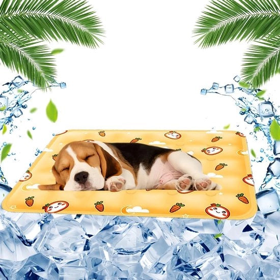 Mat di raffreddamento per animali domestici - Mat di raffreddamento auto-sostenuta - 40 x 50 cm - Ideale per cani e gatti