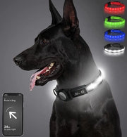 Cani luce – Collare per cani con luce – Lampada per cani - Cani uscita – Lampada per cani con batteria 9V 6LR61