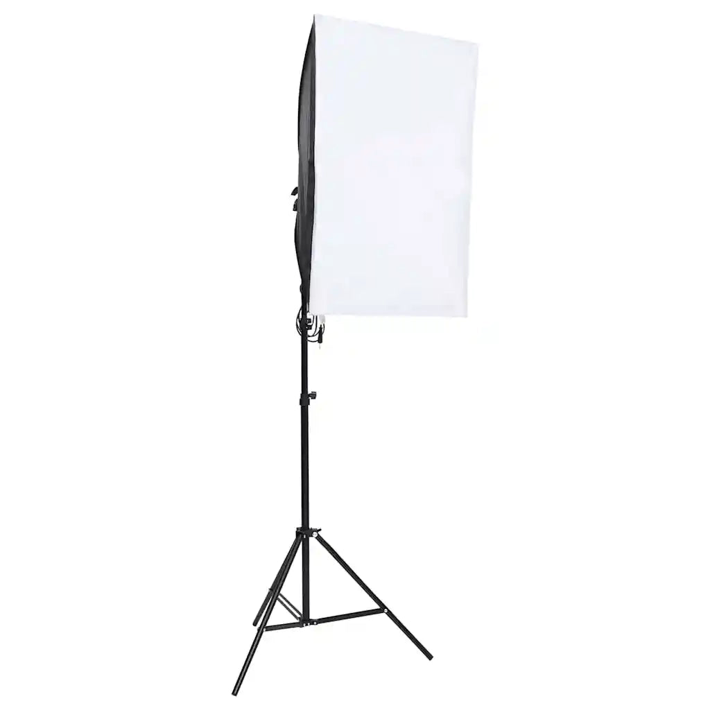 Kit per Studio Fotografico con Set di Luci e Fondale CFW5570571