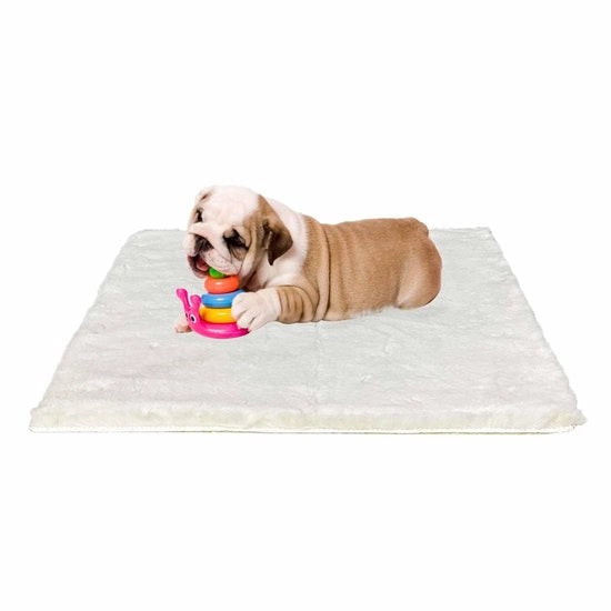 Letto per cani di dimensioni medie - 76x54cm Cuscino per cani morbido Asciugamano per cani lavabile Materasso per cani antiscivolo per piccoli cani con fondo antiscivolo, colore beige