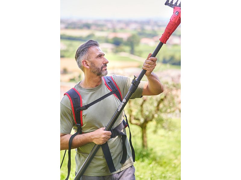 Scuotitore con batteria a zaino per raccolta olive BlueBird Olimpo 23-56