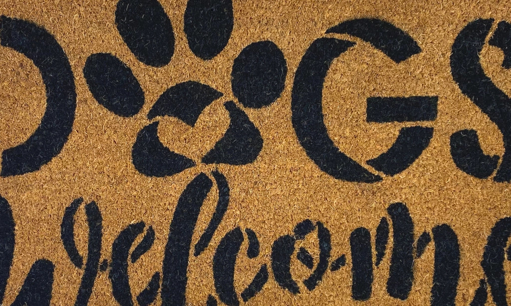 Zerbino Ingresso Casa In Fibra Di Cocco Con Base In Pvc  Dog