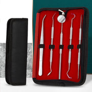 Set di cura dei denti 5 pezzi, composto da strumenti dentali, strumenti per la pulizia dei denti, sondini dentali, rasoio per la placca dentale e contenitore in acciaio inossidabile, con custodia portatile.