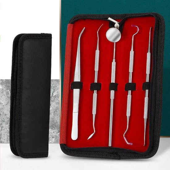 Set di cura dei denti 5 pezzi, composto da strumenti dentali, strumenti per la pulizia dei denti, sondini dentali, rasoio per la placca dentale e contenitore in acciaio inossidabile, con custodia portatile.