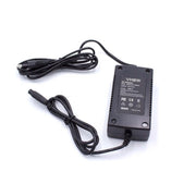 Caricatore per Hoverboard Li-ion  36V 2A