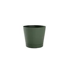 Teraplast astra orione 19 forestorione 19 forest