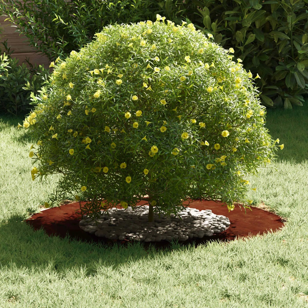 adatto per Anello d'Albero Piatto Marrone ?40 / 70 cm CFW7372373