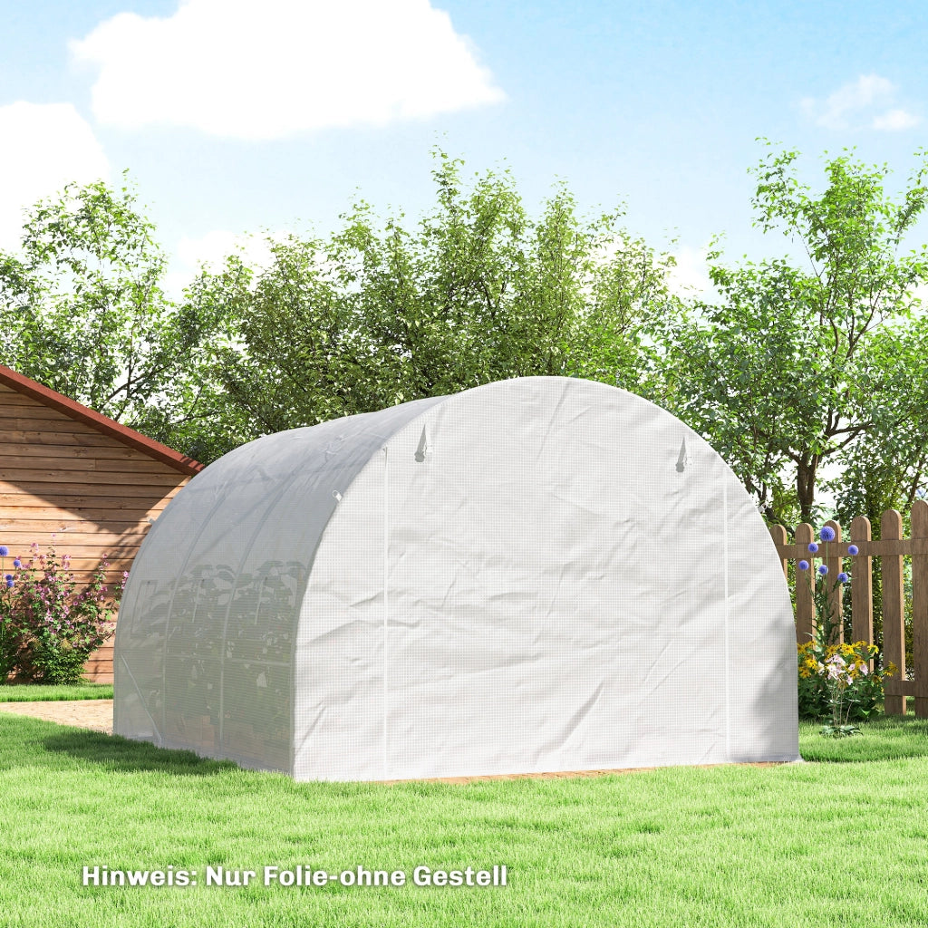 Telo Serra Trasparente ¨C Minimal ¨C 3x3m Polietilene Impermeabile UV Protezione con Finestre