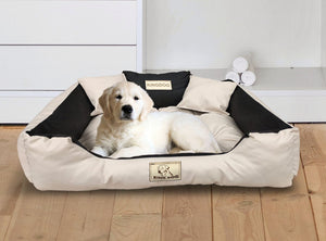 AIO FACTORY 100x75 cm KINGDOG Cuccia per cani impermeabile personalizzabile Beige