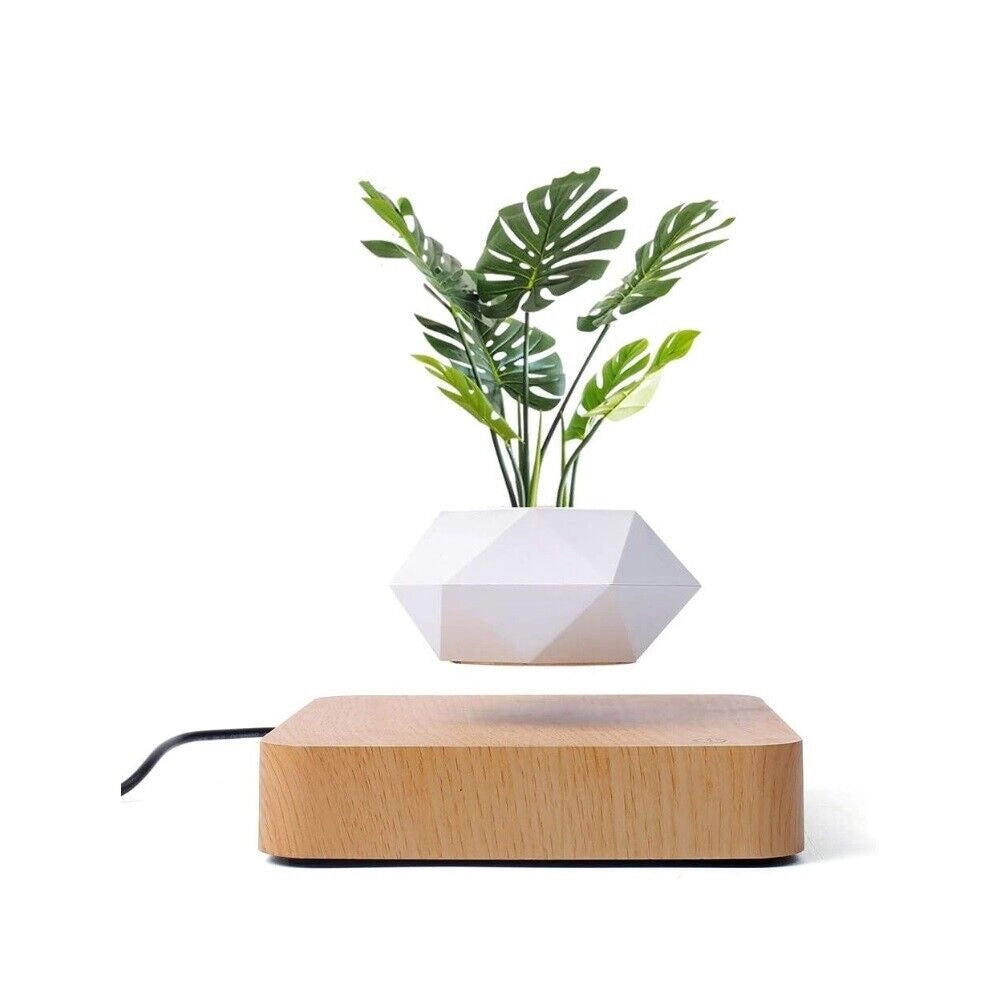 Vaso per piante bonsai a levitazione magnetica che vola piantina sospesa in aria