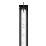 Juwel HeliaLux Spectrum - Sistema di Illuminazione LED a spettro completo per Acquari Juwel Wattaggio lampade: 27W/550mm