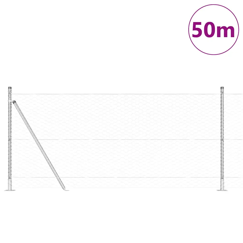 Palo della recinzione Argento 50 x 1 m (maglia da 36 mm)