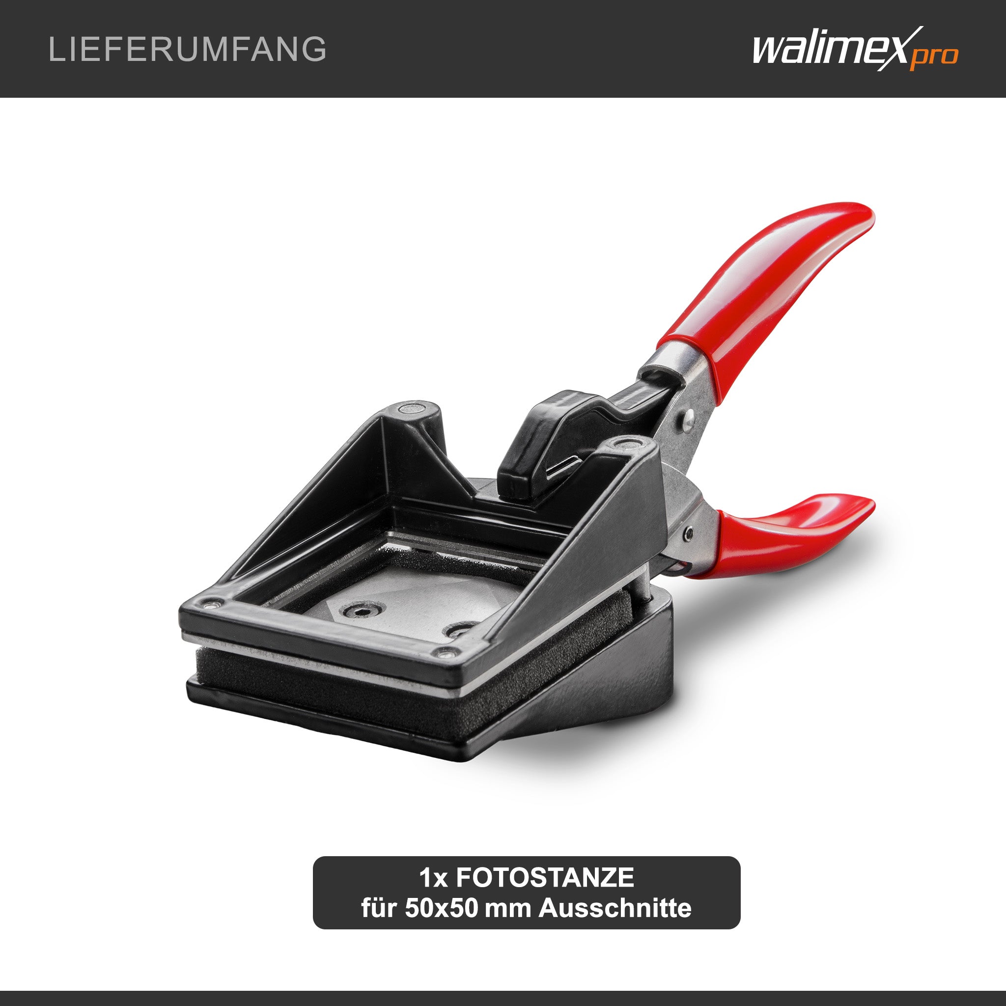 Taglierina per fototessere 50 x 50 mm, Fustellatrice manuale per taglio foto in formato fototessera, con manico ergonomico