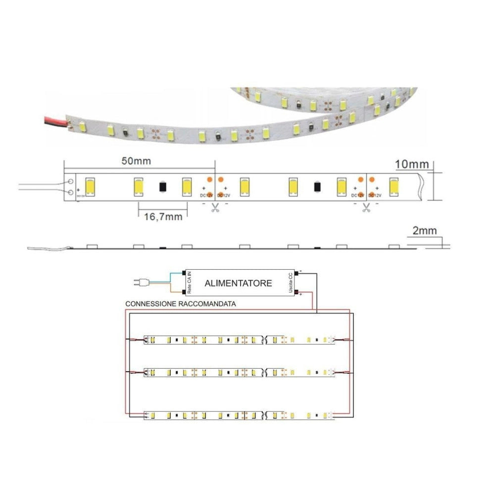 Trade Shop - 5 Metri Strip Striscia 300 Led 3014 Smd Per Esterno Ip65 12 V Dc Caldo Freddo -