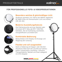 Soft LED 300 Lampada rotonda fotografica, Pannello LED piatto per fotografia 30 W, Luce per video e foto con staffa a U, temperatura colore 5600 K