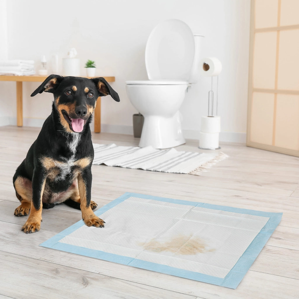 Tappetini Igienici per Cani 6 Strati ¨C zephmum ¨C 60x60 cm Blu e Bianco