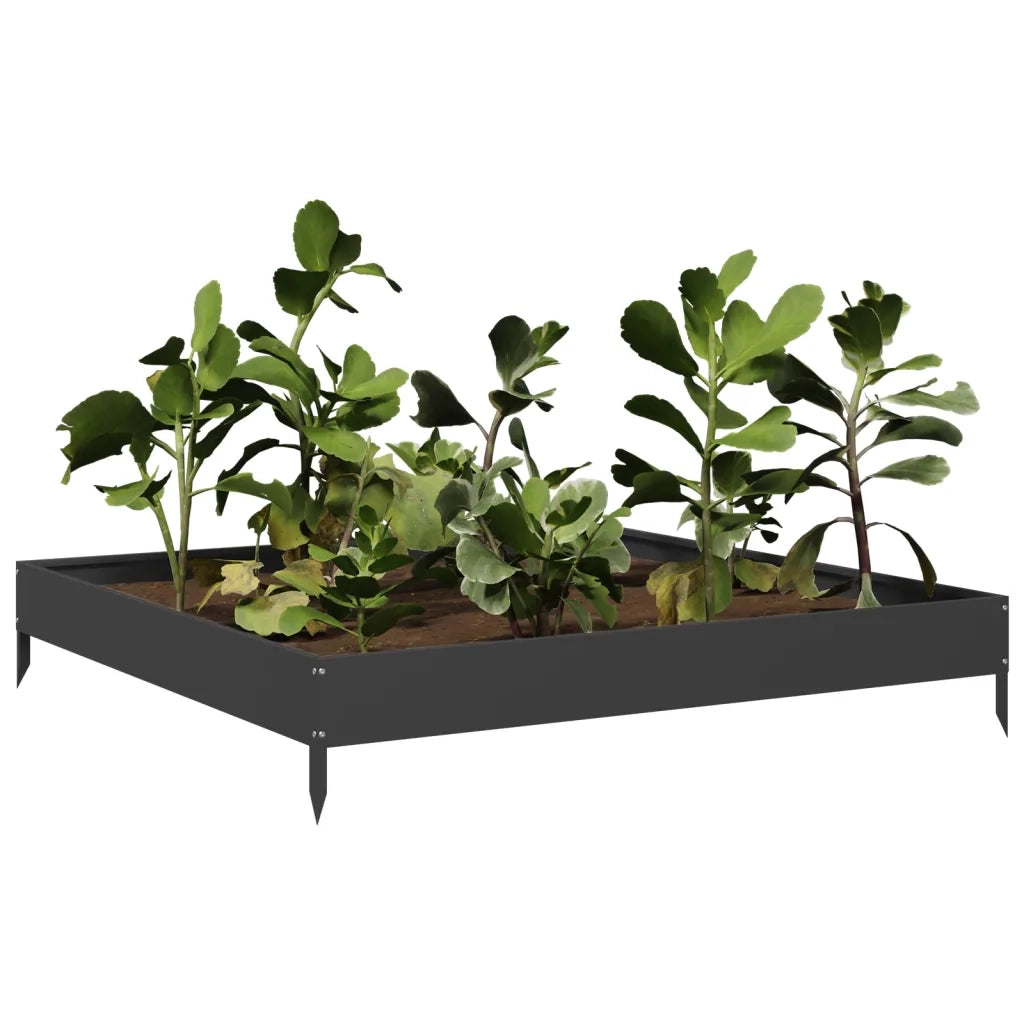Fioriera Rialzata da Giardino-Vaso da Esterno-Fioriera Elevata Nera 100x100x18,5 cm in Acciaio
