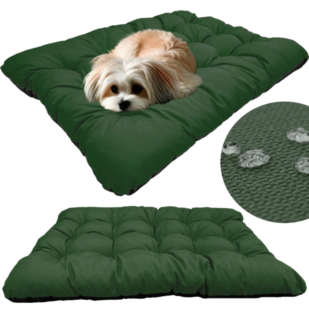 AIO FACTORY 80x60 cm PRESTIGE Cuccia per cani impermeabile personalizzabile Verde