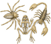 Set di decorazione per Halloween 3 pezzi - Figure di insetti - Spin, scorpione, rana - Decorazione in plastica - Ideale per le feste