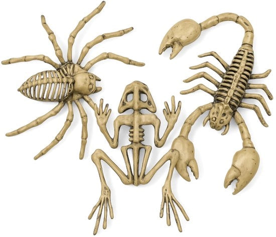 Set di decorazione per Halloween 3 pezzi - Figure di insetti - Spin, scorpione, rana - Decorazione in plastica - Ideale per le feste