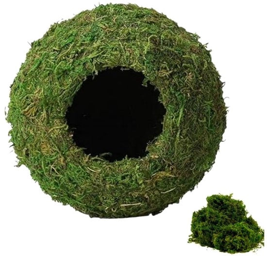 Vivarium Decorativo per Geco/Krakken - Habitat Decorativo Bioattivo - Mos Naturale - 4-7 Pollici