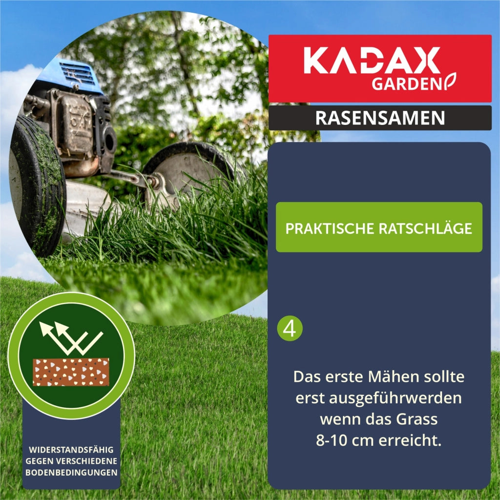 Semi per prato KADAX 15 kg Universali Autocompattanti Resistenti al calpestio 600 m²