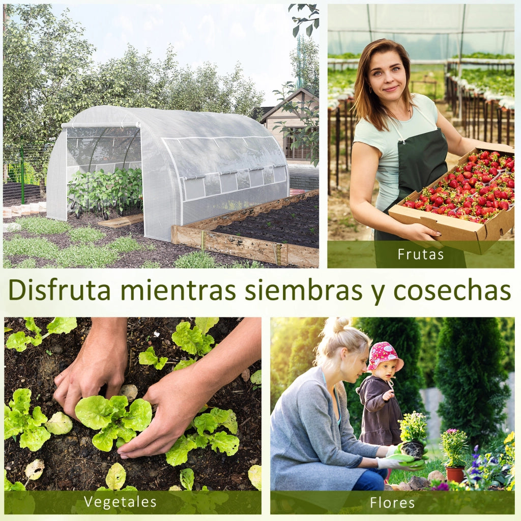 Serra Tunnel Giardino ¨C zephmum ¨C Bianco 4x3x2 m con Porta e 8 Finestre