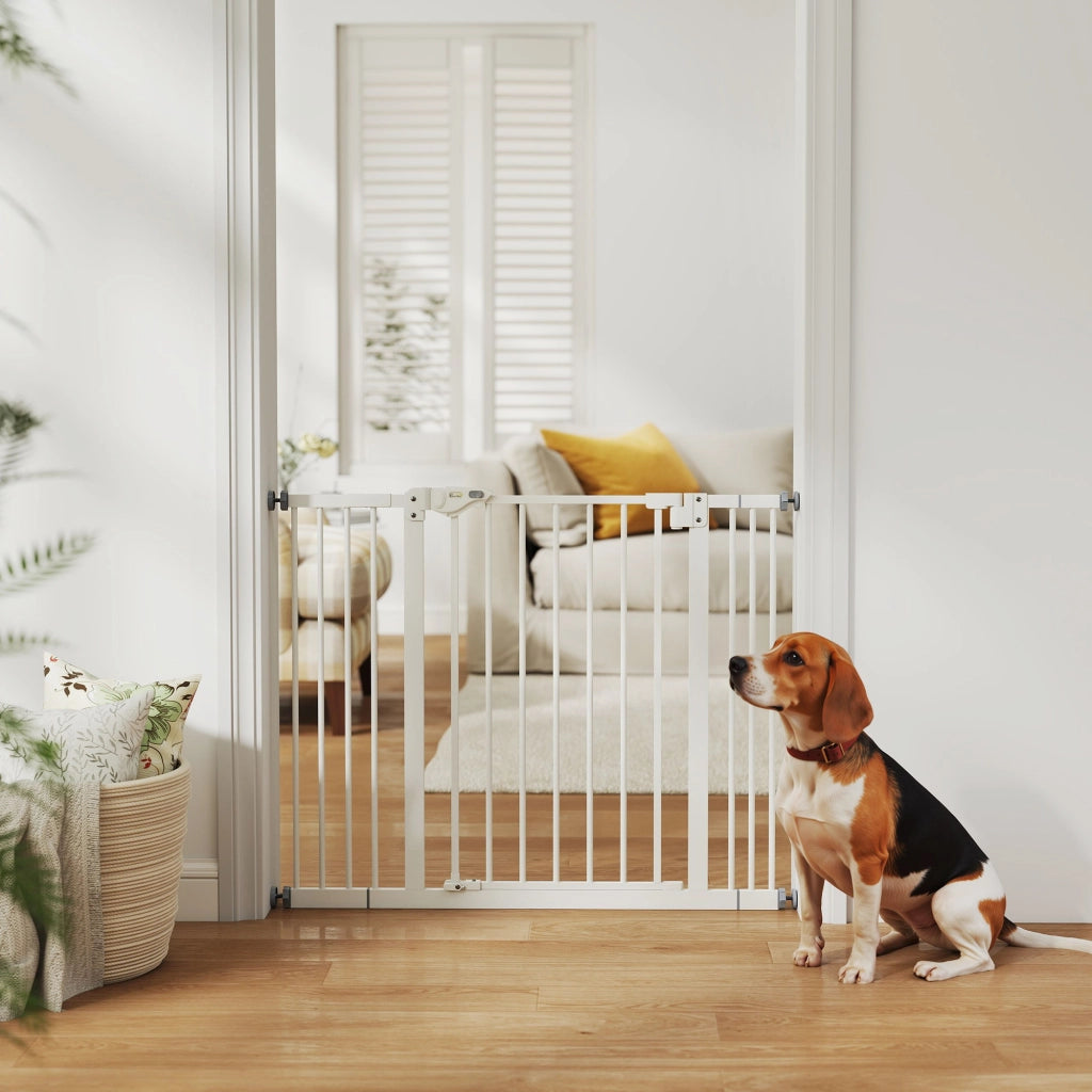 Cancellino per Cani Regolabile ¨C Zephmum ¨C Bianco 72 cm
