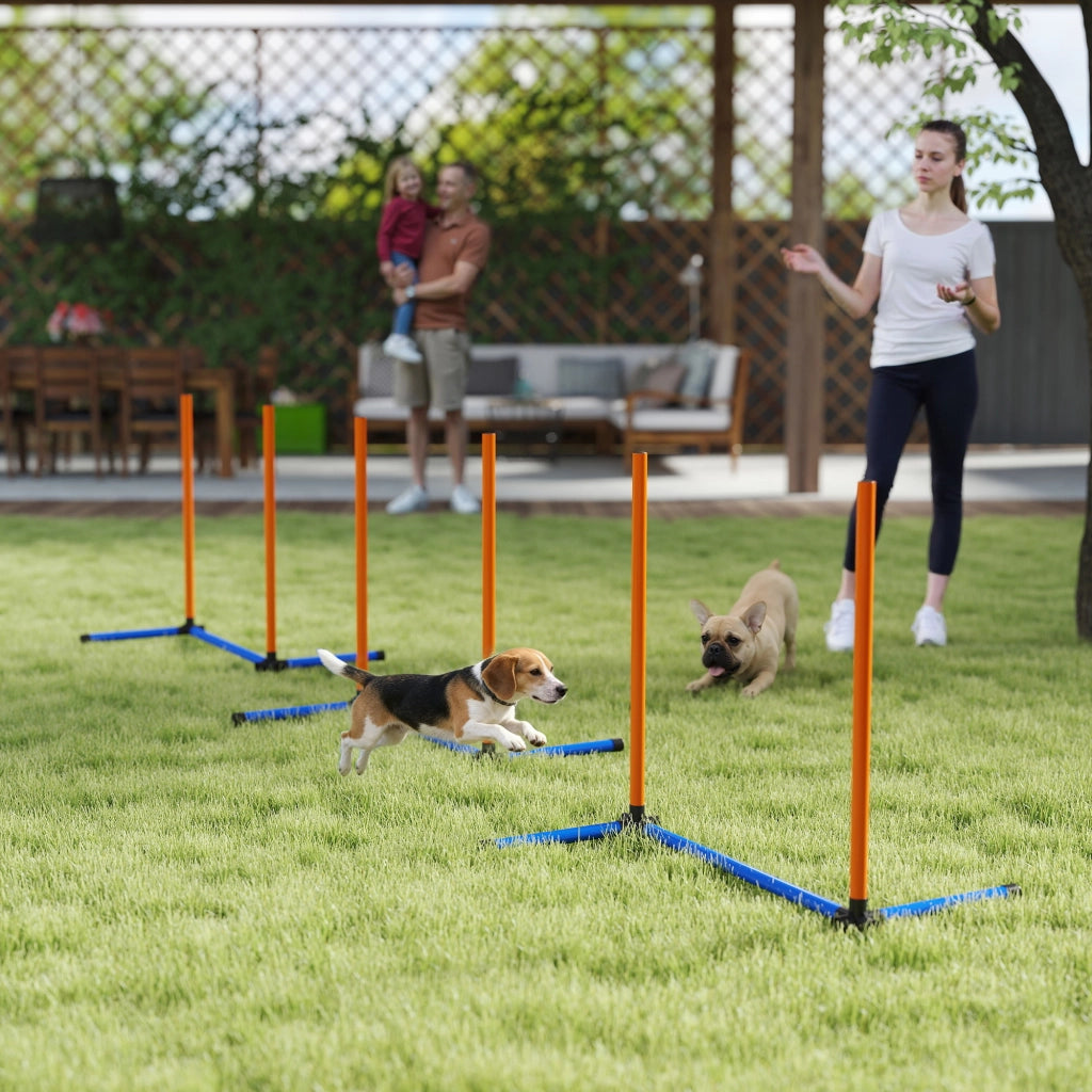 Set Agility per Cani 3 Pezzi con Stanghe Slalom e Borsa ¨C Zephmum ¨C Arancione